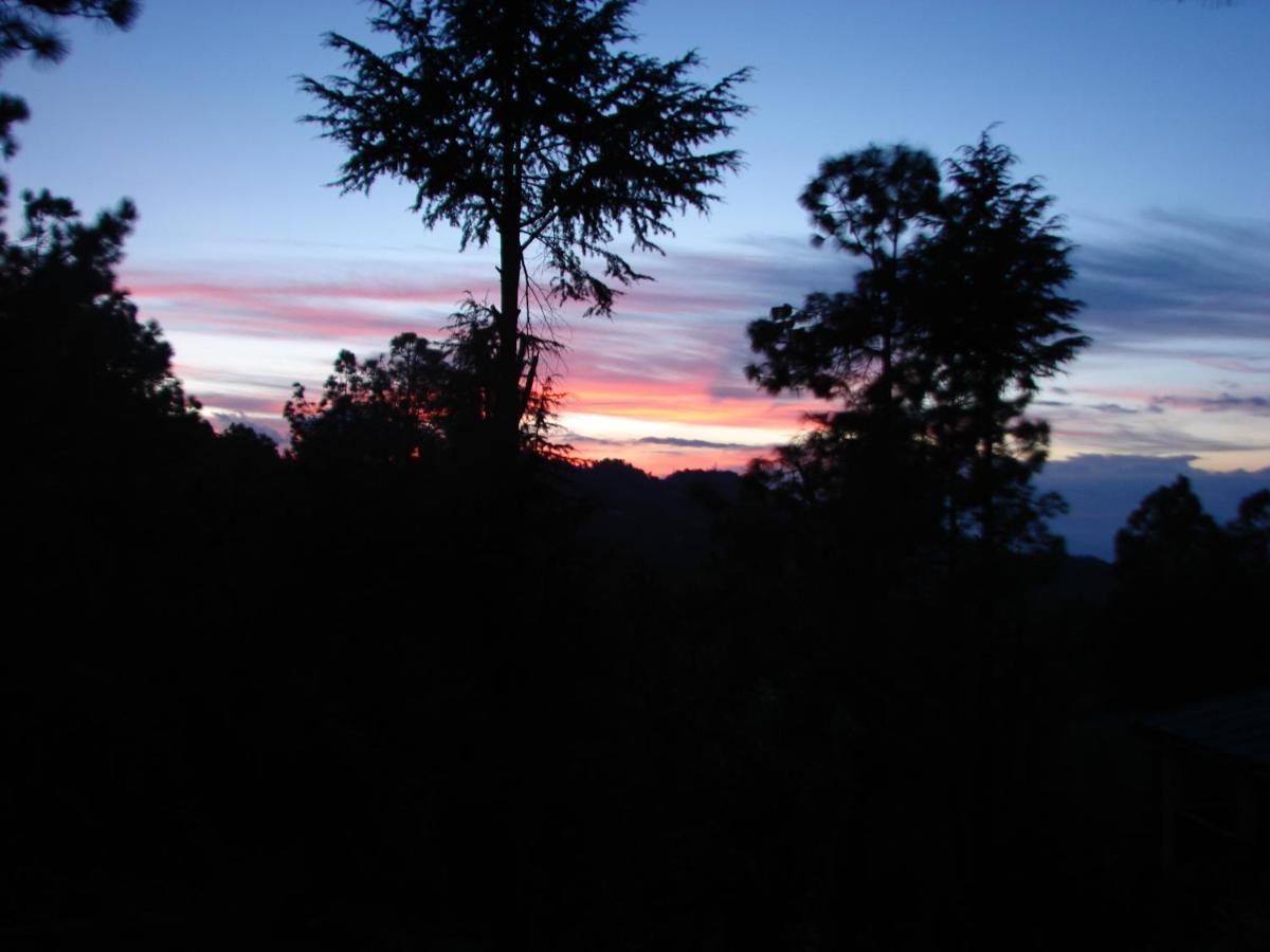 Elphinstone Inn Almora Luaran gambar